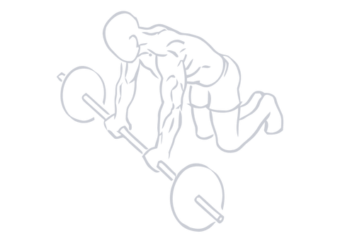 Ab Wheel, position 1 of 2
