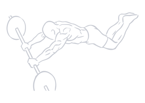 Ab Wheel, position 2 of 2