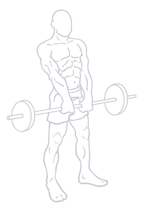Barbell Shrug, position 1 of 2