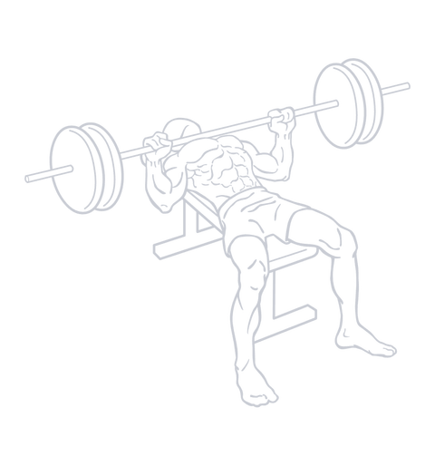 Barbell Bench Press, position 1 of 2