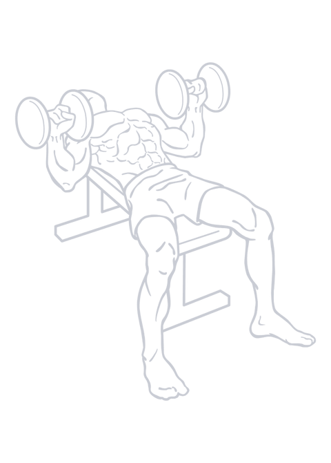 Dumbbell Bench Press, position 2 of 2