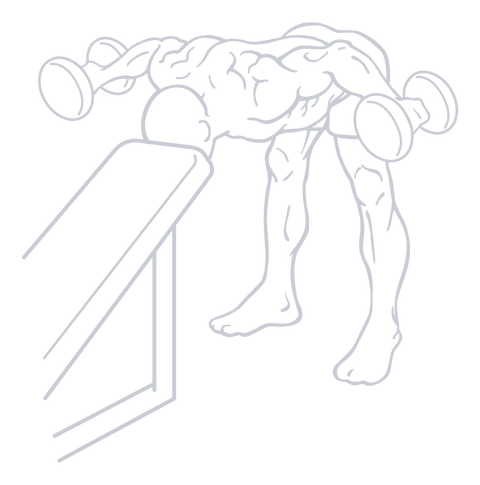 Dumbbell Rear Delt Fly, position 2 of 2