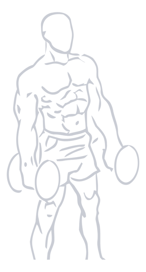 Dumbbell Bicep Curl, position 1 of 2