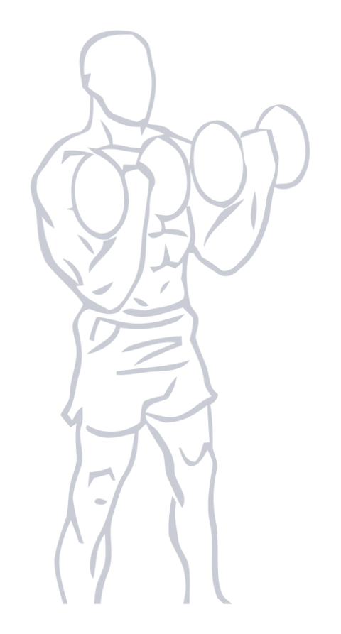 Dumbbell Bicep Curl, position 2 of 2
