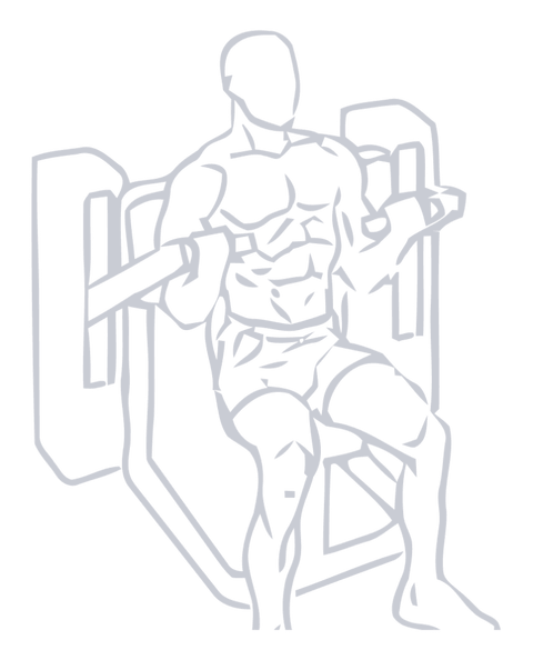Machine Bicep Curl, position 2 of 2