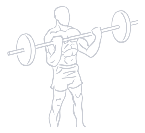 Barbell Bicep Curl, position 2 of 2