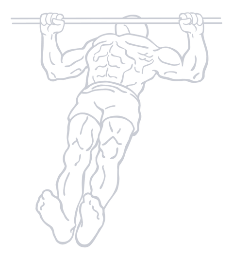 Inverted Row, position 1 of 2