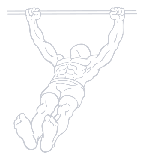 Inverted Row, position 2 of 2