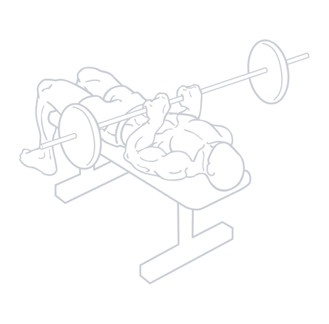 Close Grip Bench Press, position 1 of 2