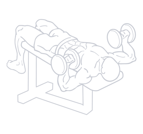 Dumbbell Decline Bench Press, position 1 of 2