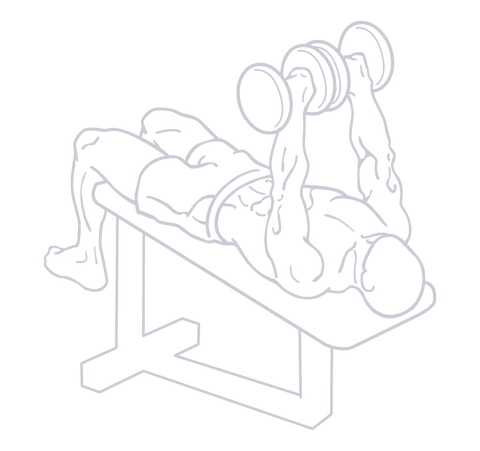 Dumbbell Decline Bench Press, position 2 of 2