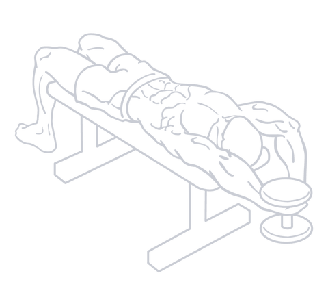 Dumbbell Pullover, position 2 of 2