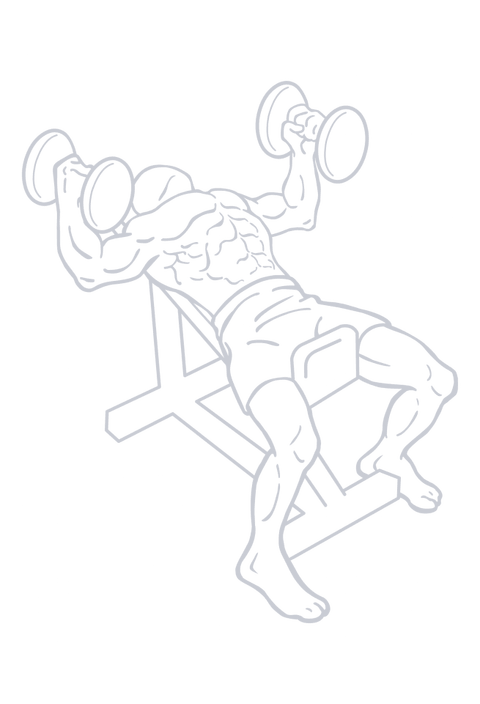 Dumbbell Incline Bench Press, position 1 of 2
