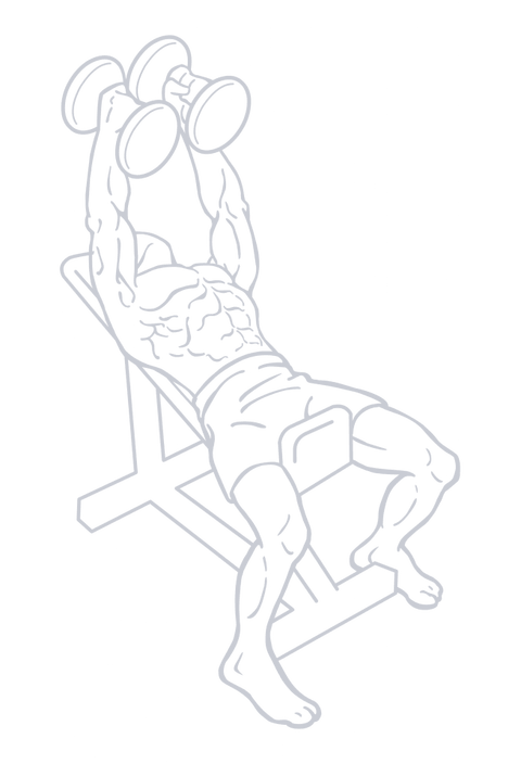 Dumbbell Incline Bench Press, position 2 of 2