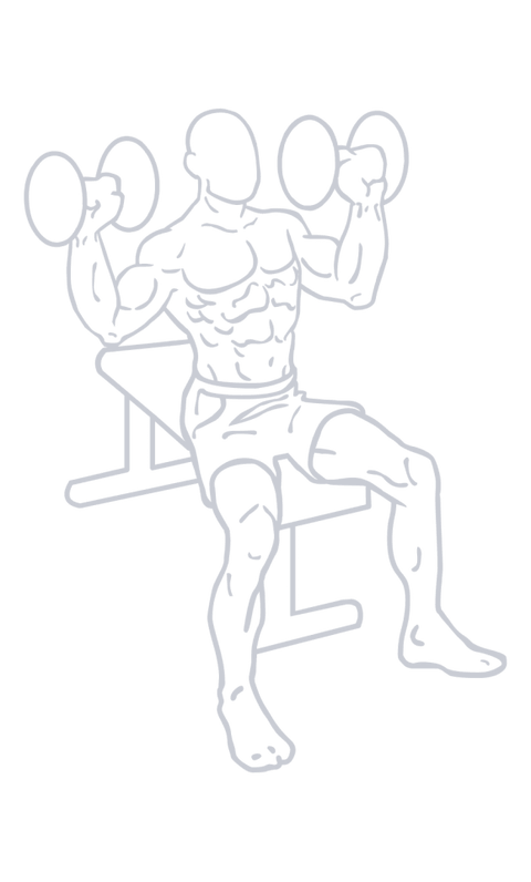 Dumbbell Overhead Press, position 1 of 2