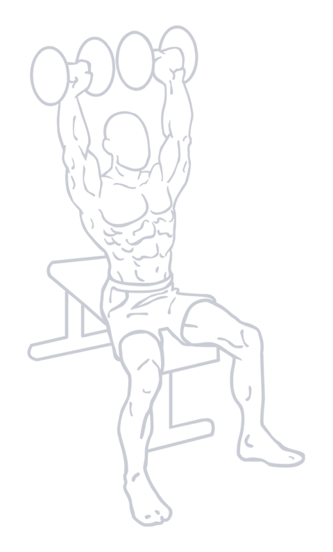 Dumbbell Overhead Press, position 2 of 2