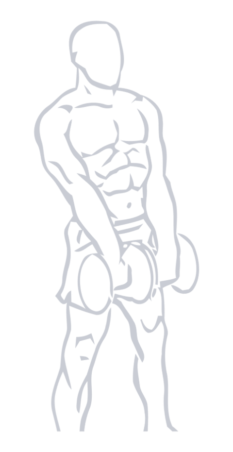 Dumbbell Upright Row, position 2 of 2