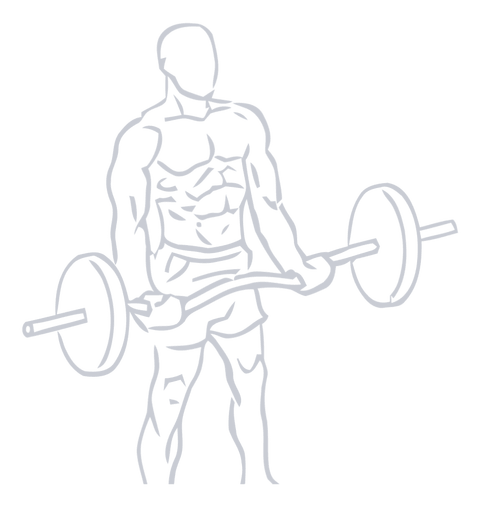 EZ Bar Curl, position 1 of 2