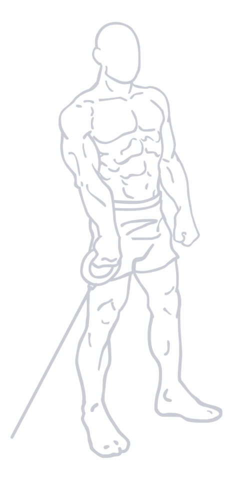Cable Front Raise, position 2 of 2