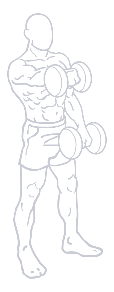 Dumbbell Front Raise, position 2 of 2