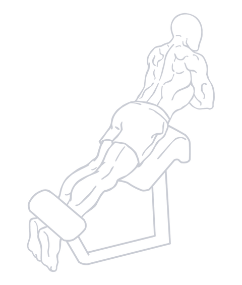 Back Extension, position 1 of 2
