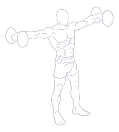 Dumbbell Lateral Raise, position 1 of 2