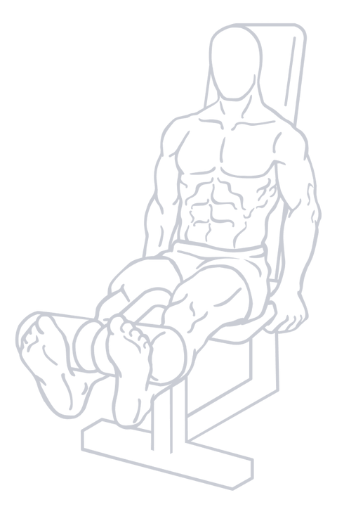 Leg Extension, position 2 of 2