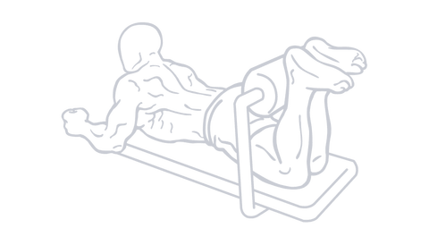 Lying Leg Curl, position 2 of 2