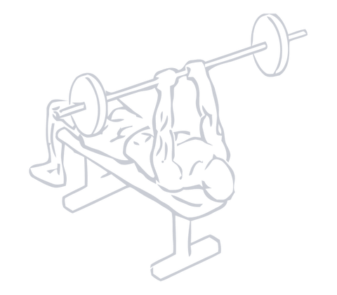 Barbell Skullcrusher, position 1 of 2