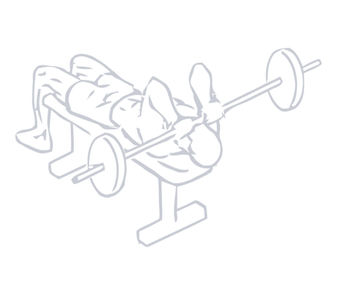 Barbell Skullcrusher, position 2 of 2