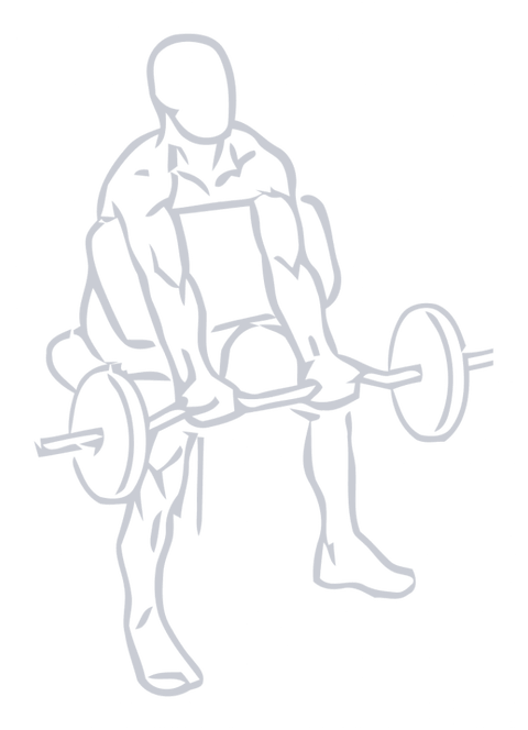 Barbell Preacher Curl, position 1 of 2