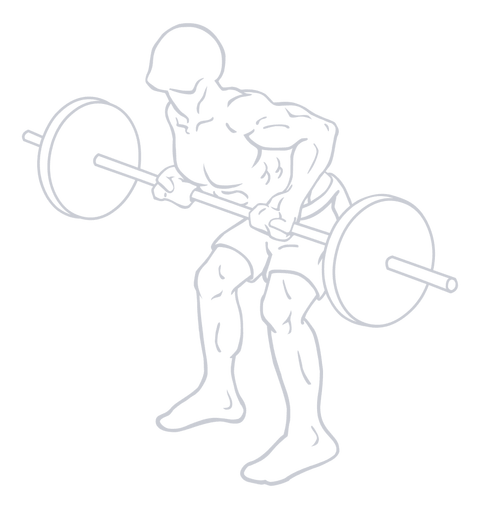 Underhand Barbell Row, position 2 of 2
