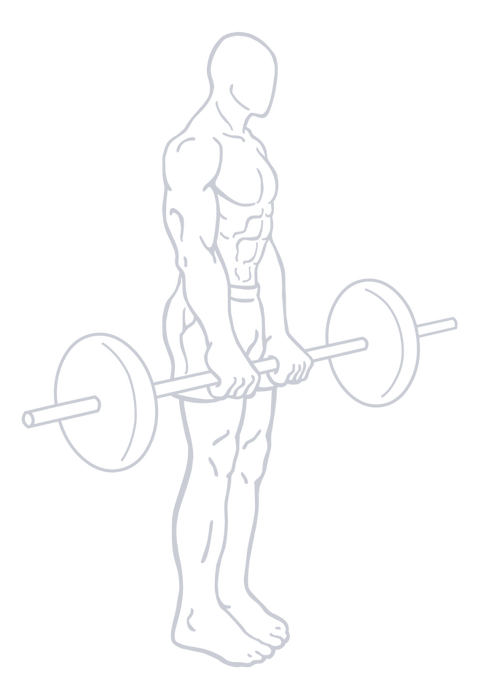 Barbell Romanian Deadlift, position 1 of 2