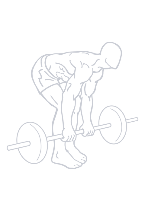 Barbell Romanian Deadlift, position 2 of 2