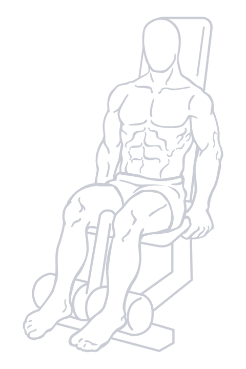 Seated Leg Curl, position 2 of 2