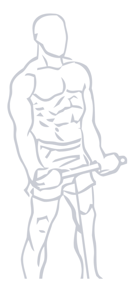 Cable Bicep Curl, position 1 of 2
