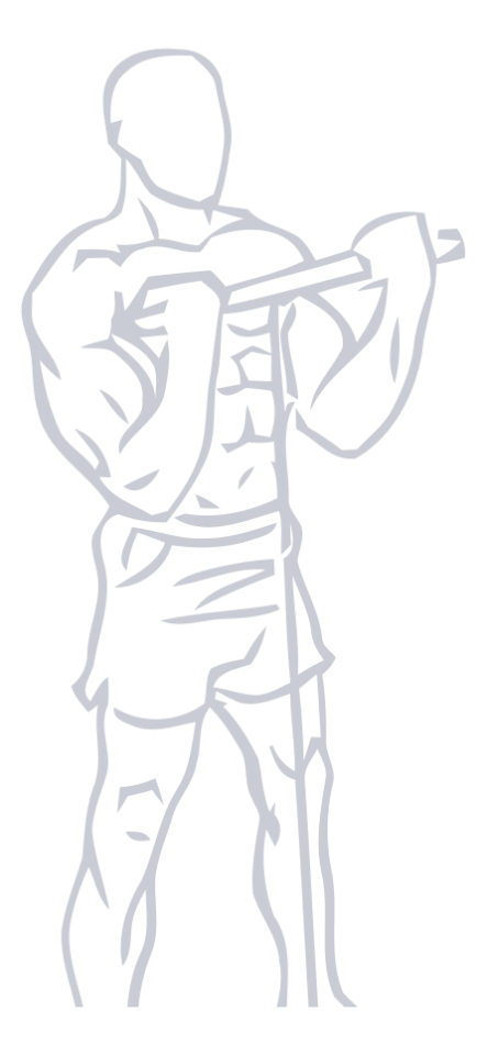 Cable Bicep Curl, position 2 of 2