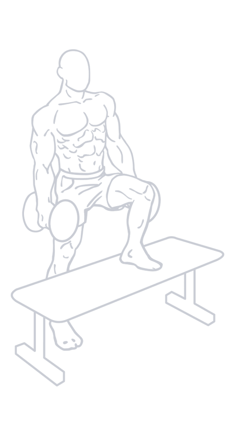 Dumbbell Step Up, position 2 of 3