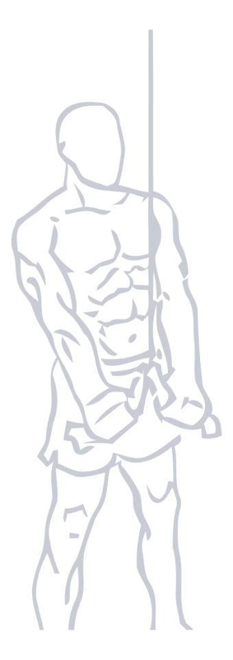 Triceps Rope Pushdown, position 2 of 2