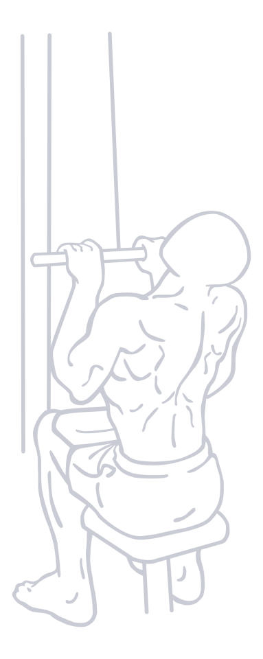 Reverse Grip Lat Pulldown, position 2 of 2
