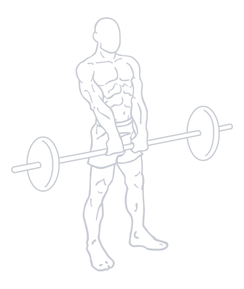 Barbell Upright Row, position 2 of 2