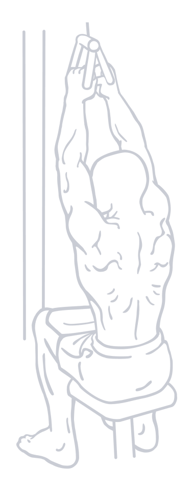 Close Grip Lat Pulldown, position 2 of 2