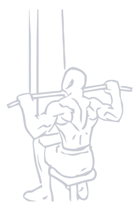 Lat Pulldown, position 1 of 2