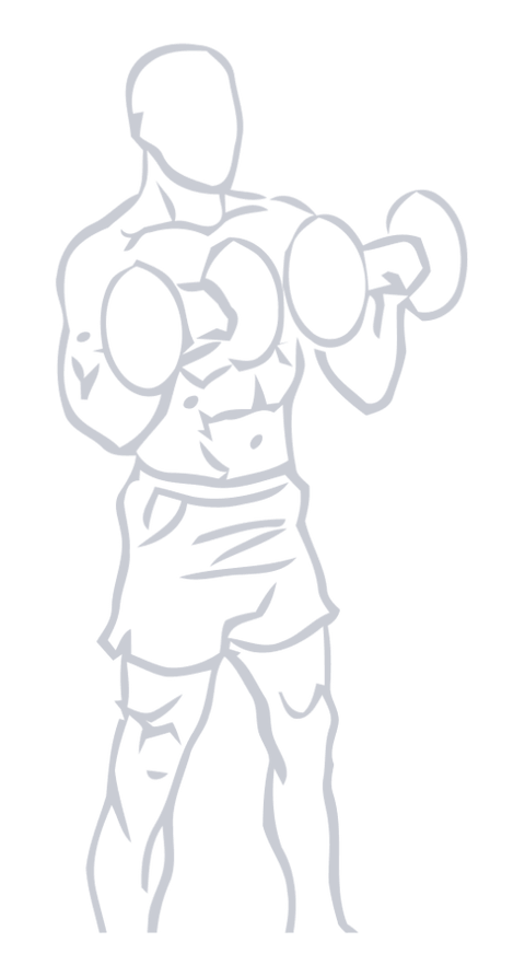 Zottman Curl, position 2 of 2